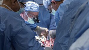 Uterus Transplant